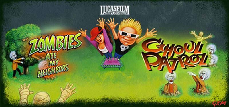 Picture of the author